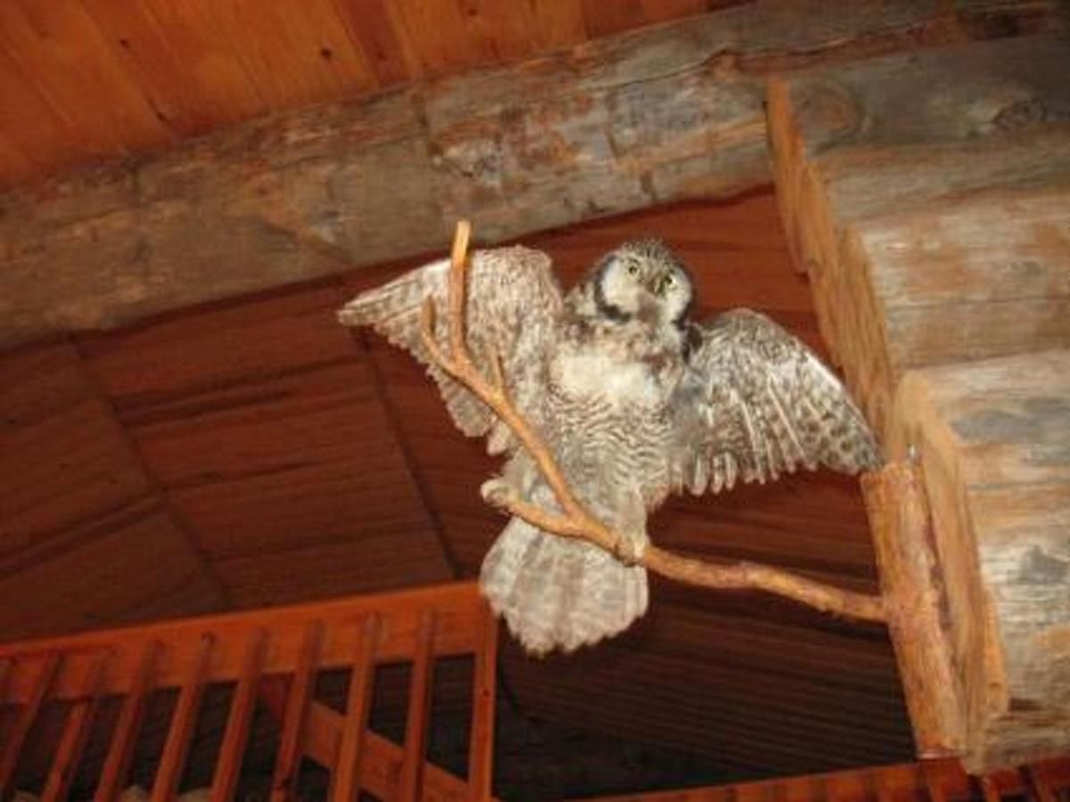 Дома для отпуска Holiday Home Palokärki Рука-32