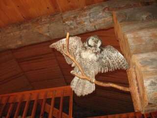 Дома для отпуска Holiday Home Palokärki Рука Дом для отпуска-16