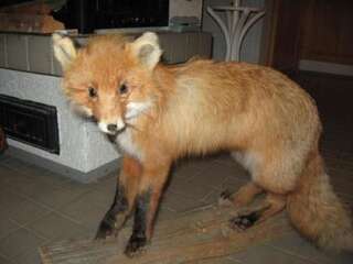 Дома для отпуска Holiday Home Palokärki Рука Дом для отпуска-23