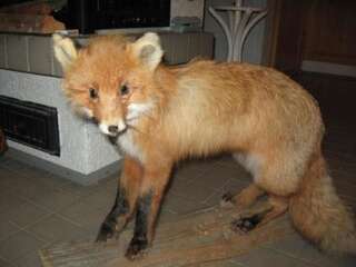 Дома для отпуска Holiday Home Palokärki Рука Дом для отпуска-4